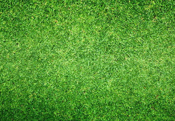 高尔夫球场草坪图片下载