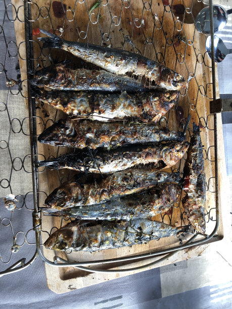 新鲜的沙丁鱼放在烤肉架上图片下载