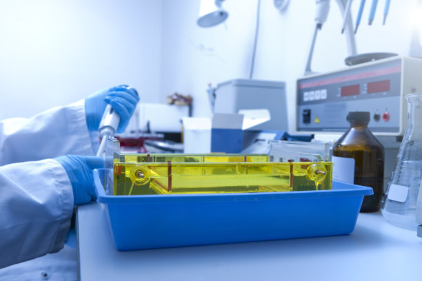 DNA实验室的科学家图片下载