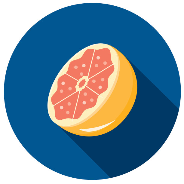 柚子水果平面设计主题图标与阴影图片下载