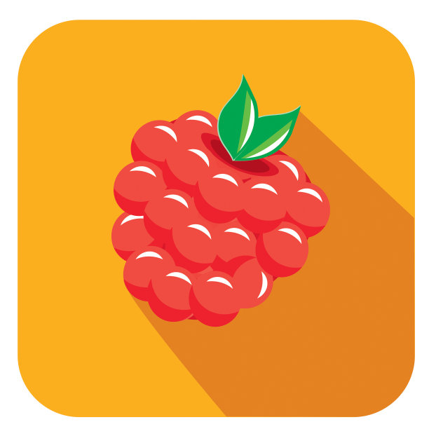 树莓水果平面设计主题与阴影图标图片下载