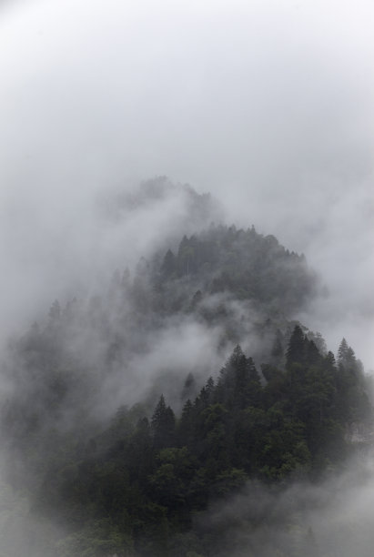 山在雾中。图片下载