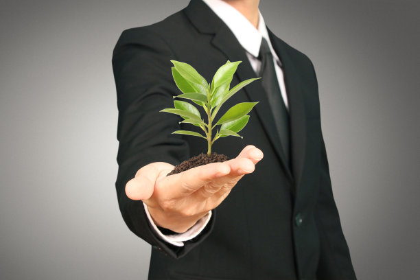 人的手握芽图片下载