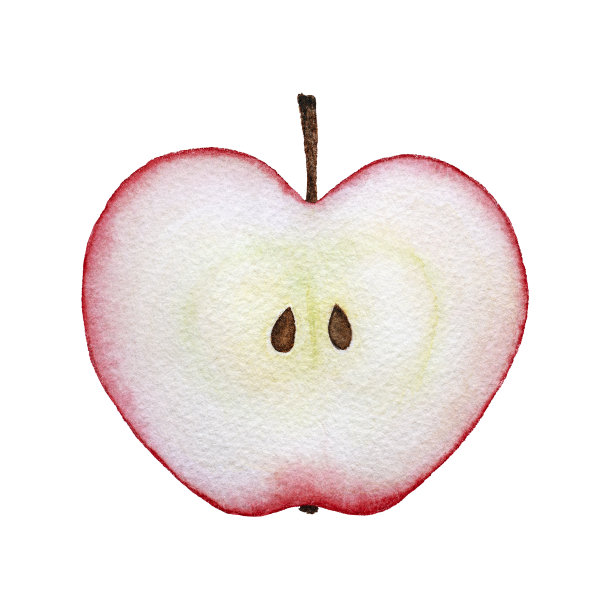 风格化的红色苹果水彩插画图片下载