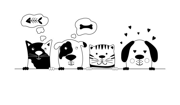 有趣的狗和可爱的猫最好的朋友。图片下载