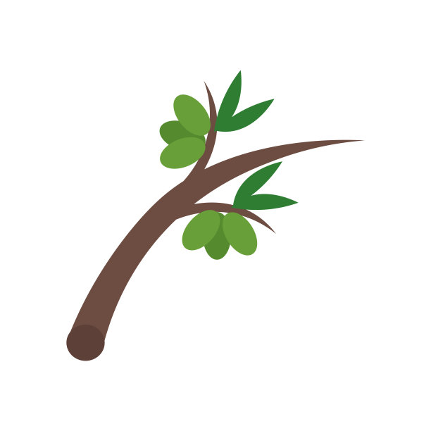 橄榄图标矢量标志和符号孤立在白色背景，橄榄标志的概念图片下载