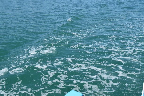 背景与波浪和泡沫，在水面上的痕迹后快速移动的船图片下载