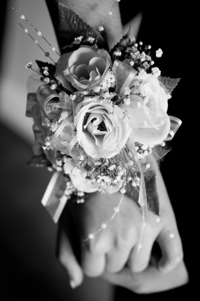 舞会胸衣图片下载