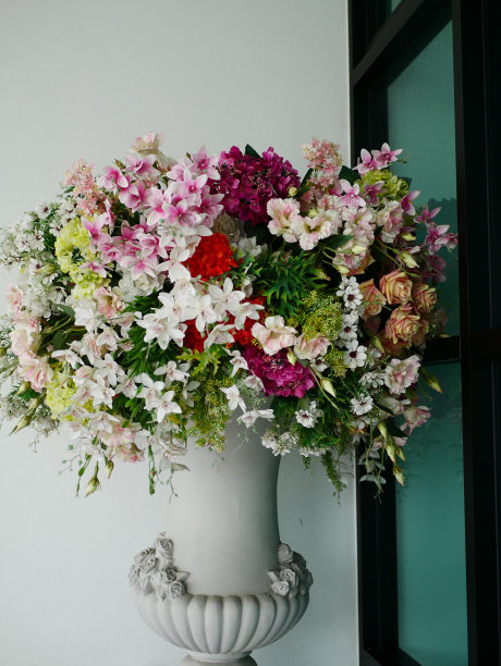 花盆与凤仙花图片下载