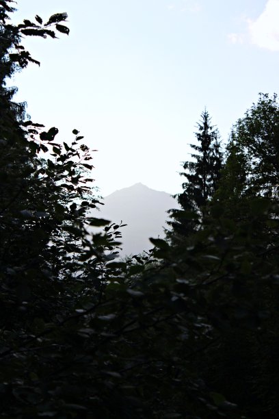 西尔弗蕾塔·蒙塔文图片下载