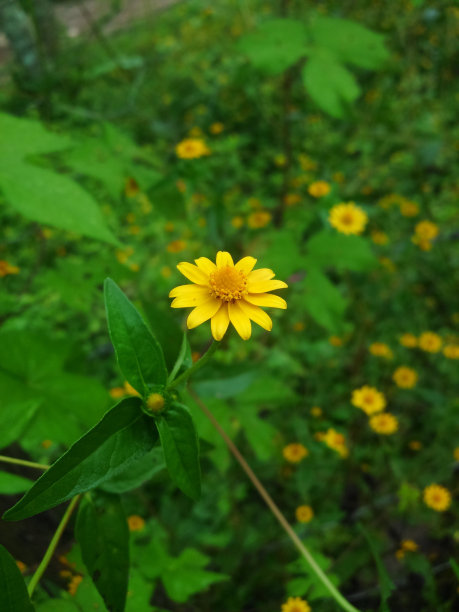 在山里走了一天图片下载