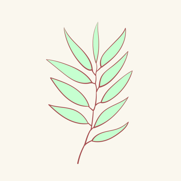 桉树，蓝莓百里香，芦笋，草本，花卉图片下载