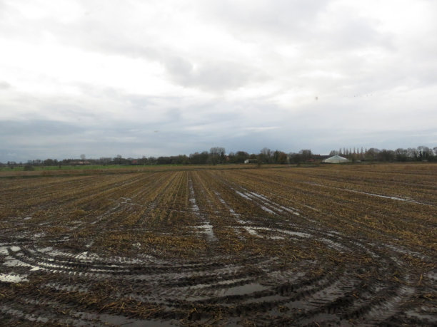 有拖拉机痕迹的加工过的田地图片下载