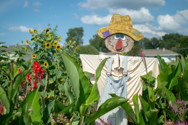 滑稽的稻草人图片下载