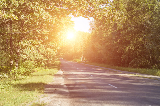 森林的车路图片下载