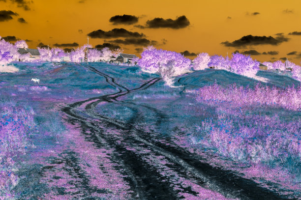 在平行宇宙中，乡村道路通向小山上的房子的景观抽象数字图片图片下载