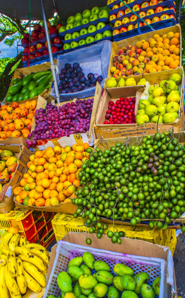 多种多样的水果货架素材图片