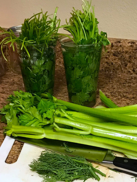 准备榨汁机图片下载