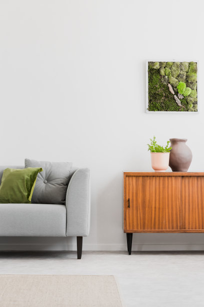 明亮的房间内部的真实照片与框苔藓，复古橱柜与植物和花瓶，灰色沙发与绿色枕头图片下载