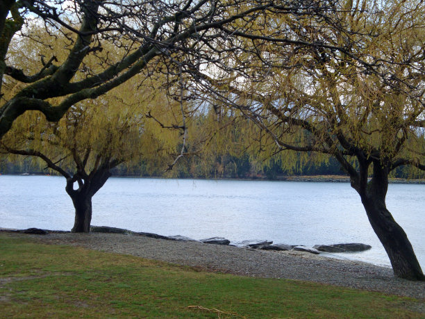 昆士兰湖视图图片下载