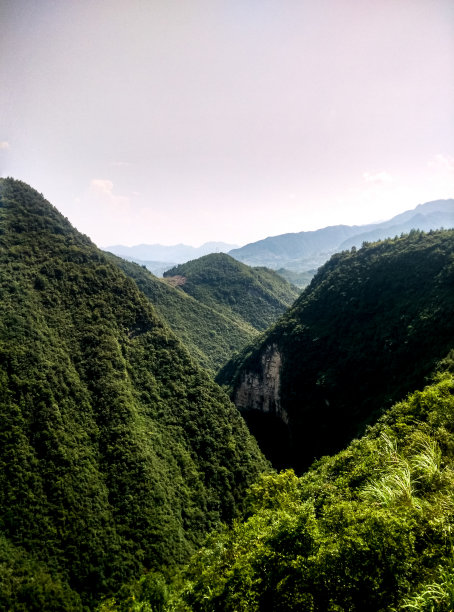 一段青山绿树的景色图片下载