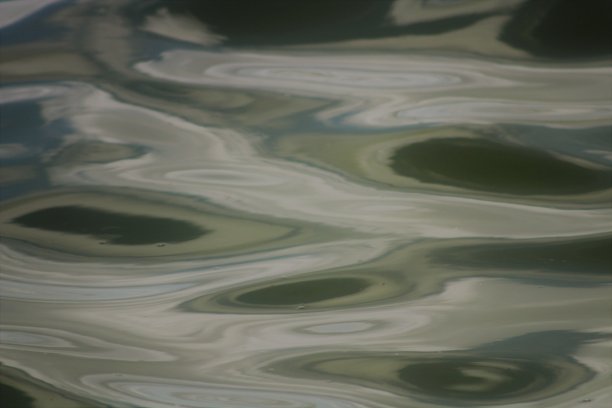 福雷斯特绿色抽象水图片下载