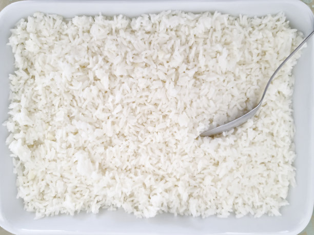 接近托盘与白米饭。图片下载