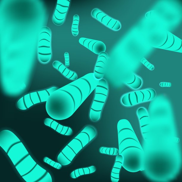 微细菌和治疗性细菌有机体。显微沙门氏菌，乳酸菌或嗜酸微生物。图片下载