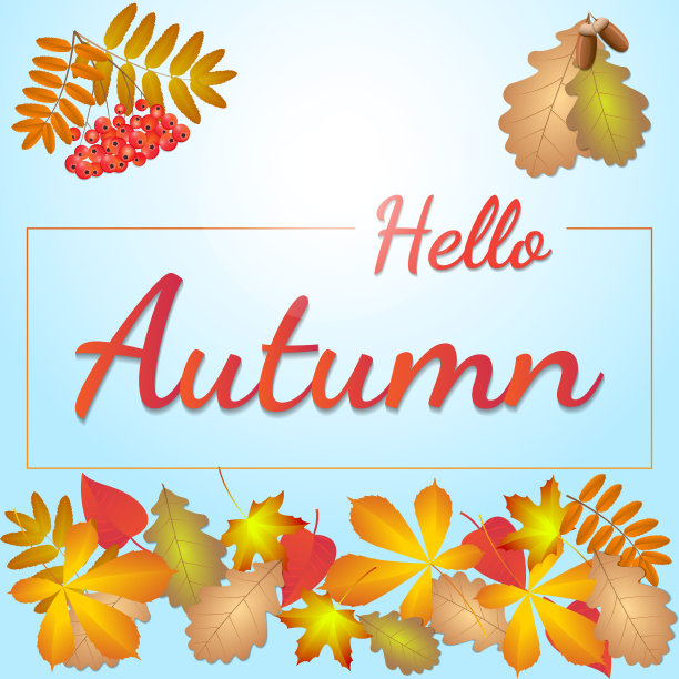 你好，落叶的秋天图片下载