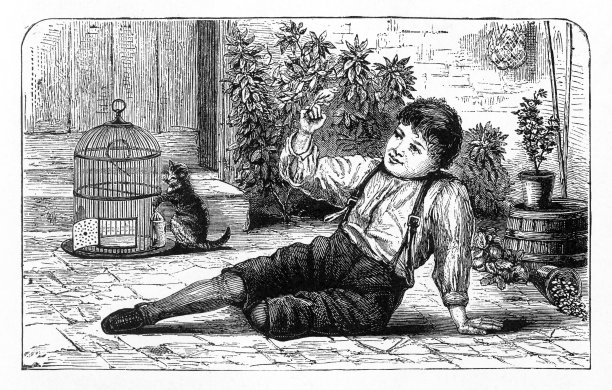 一个小男孩和他的宠物鸟和猫玩耍，美国维多利亚版画，1882年图片下载