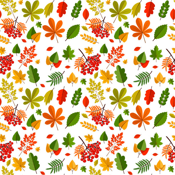秋栎叶无缝图案自然矢量插图。图片下载