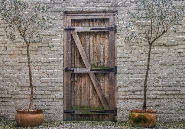 黑麦花园图片下载