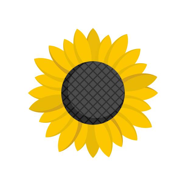 葵花籽图标，扁平样式图片下载