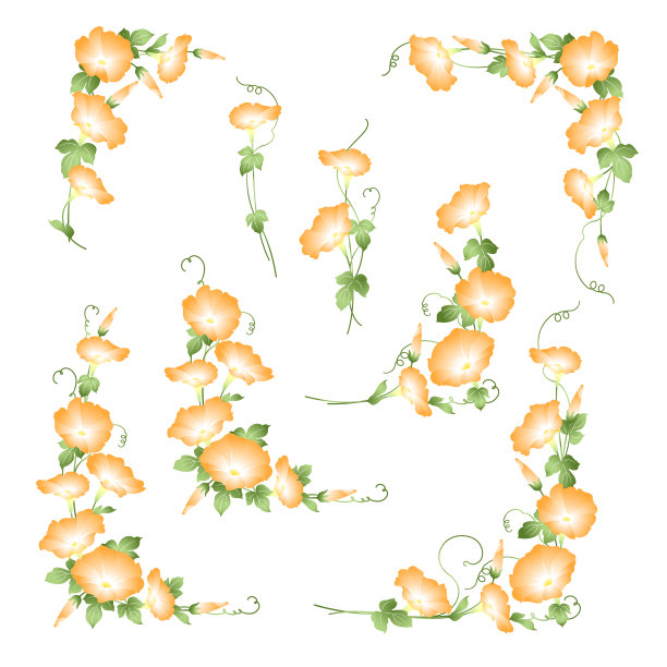 日式牵牛花装饰直径，图片下载