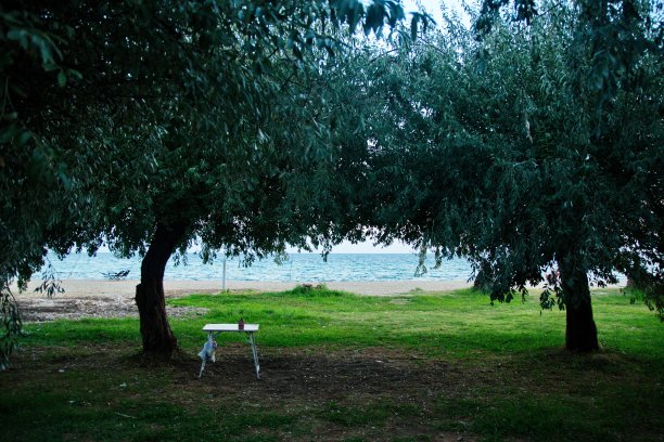 绿色树下的白色桌子图片下载