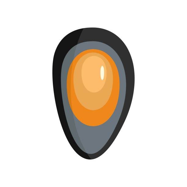 贝壳带有珍珠图标，扁平样式图片下载