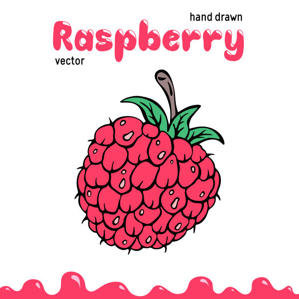 树莓矢量插图，浆果clipart。卡通树莓矢量插图标签，设计。彩色覆盆子矢量插图的菜单，包装。涂鸦浆果clipart，覆盆子孤立。图片下载
