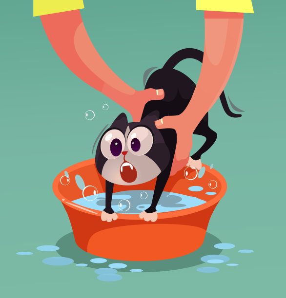 愤怒的猫性格抗拒，不想洗澡。矢量平面卡通插图图片下载