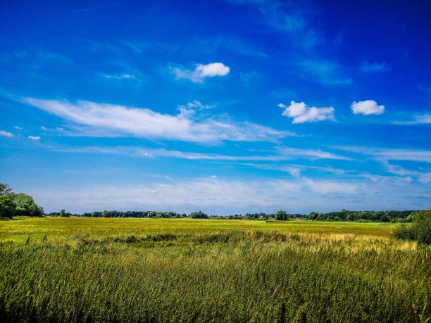 博格霍斯特球场图片下载