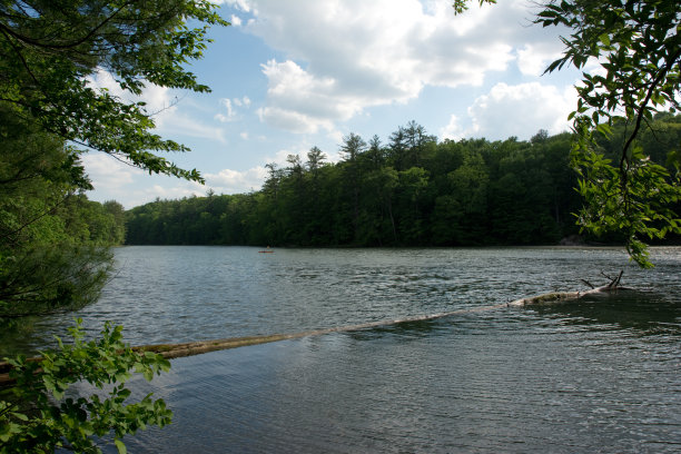 Chenango Valley州立公园-夏季徒步图片下载