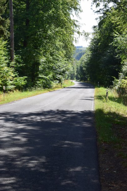 小森林路，艾菲尔图片下载