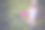 可爱的小孩戴着帽子浇花图片下载