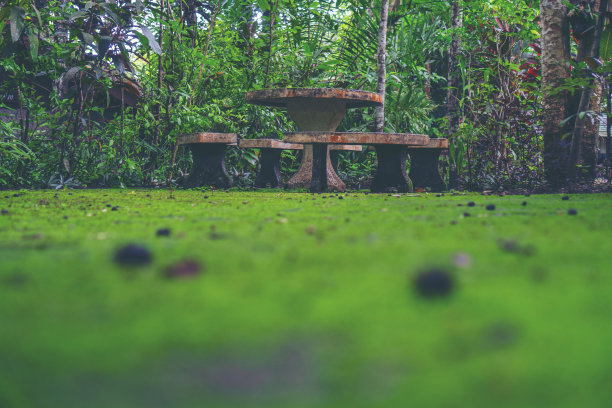 绿化空间，餐桌设置在花园里图片下载