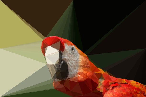 红鹦鹉文摘图片下载