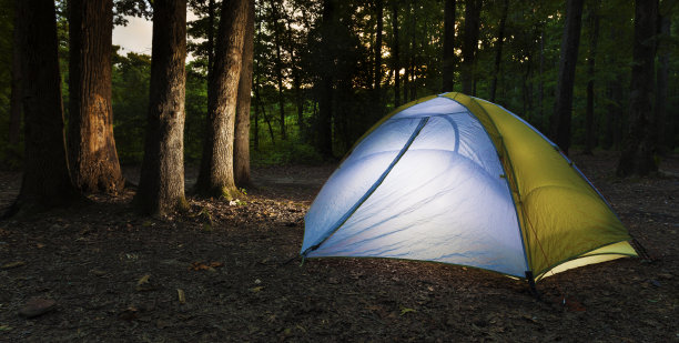 黑暗森林中点亮的帐篷图片下载