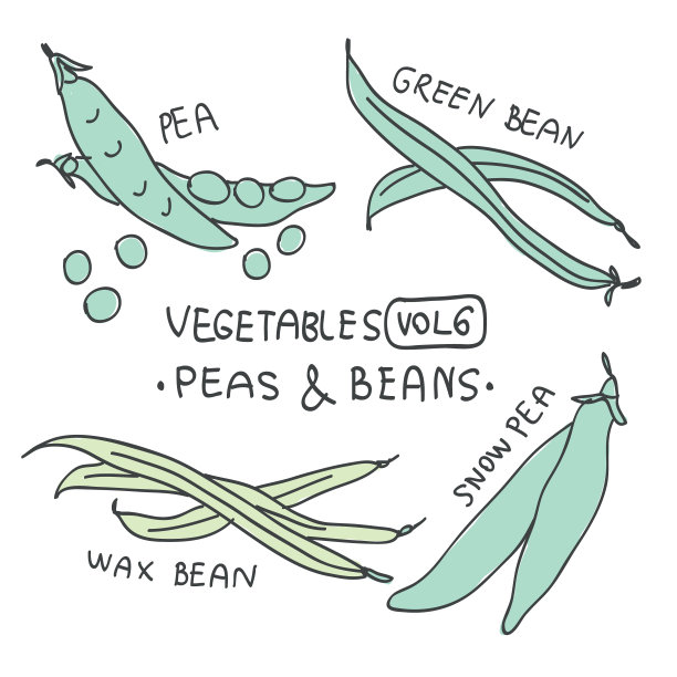 设置手绘彩色蔬菜涂鸦。草图样式向量集合。蔬菜平面图标集图片下载