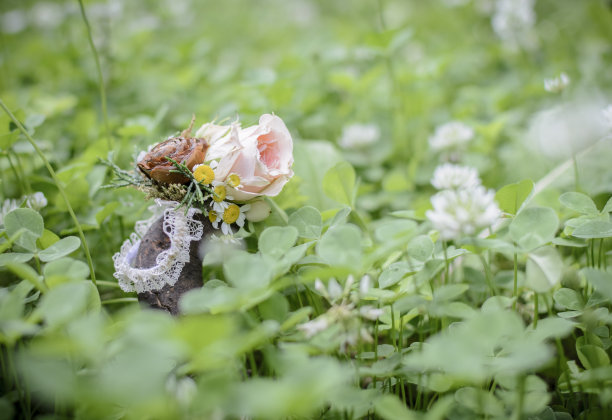 婚礼花手镯在草地上，与松果和玫瑰。图片下载