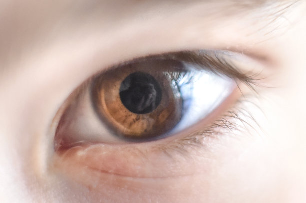 近距离看一个棕色瞳孔的小男孩。图片下载