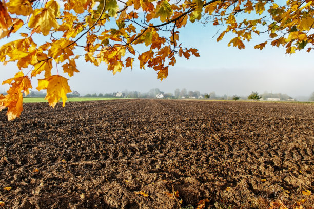 视野到田野。图片下载