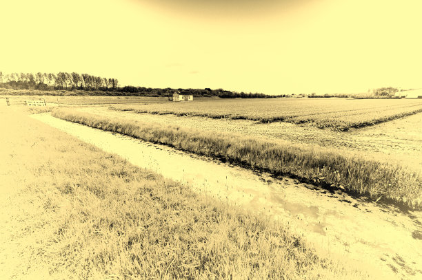 排水渠附近的花园图片下载